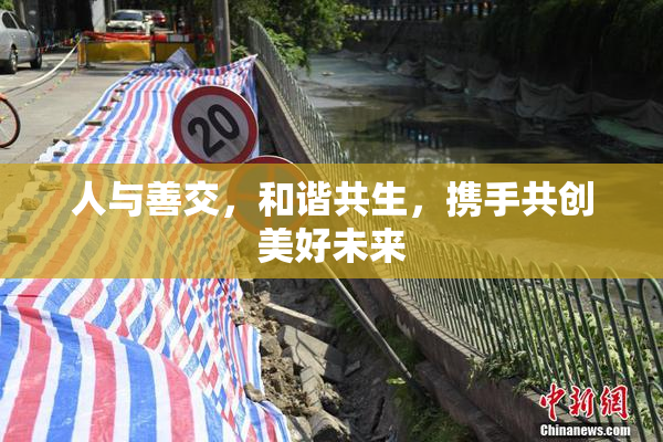 人与善交，和谐共生，携手共创美好未来