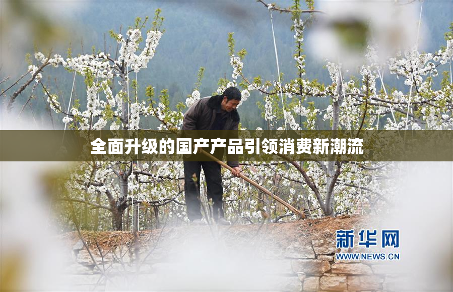 全面升级的国产产品引领消费新潮流