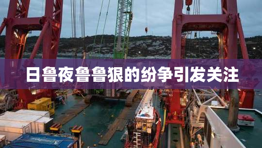 日鲁夜鲁鲁狠的纷争引发关注