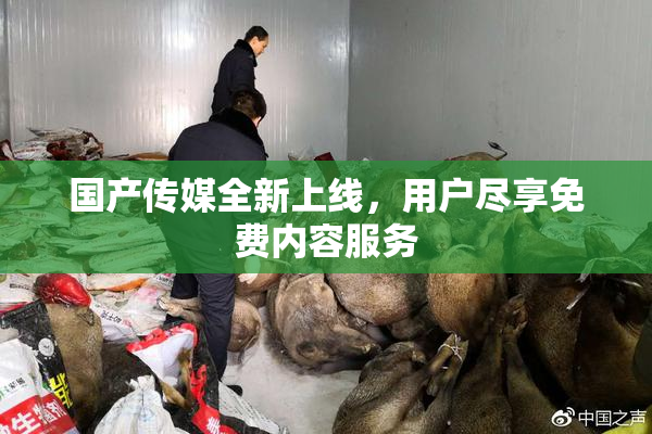 国产传媒全新上线，用户尽享免费内容服务