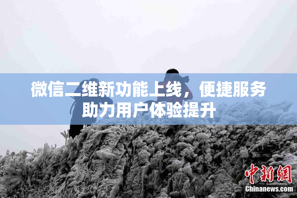 微信二维新功能上线，便捷服务助力用户体验提升