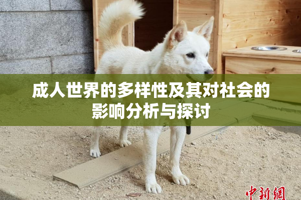 成人世界的多样性及其对社会的影响分析与探讨
