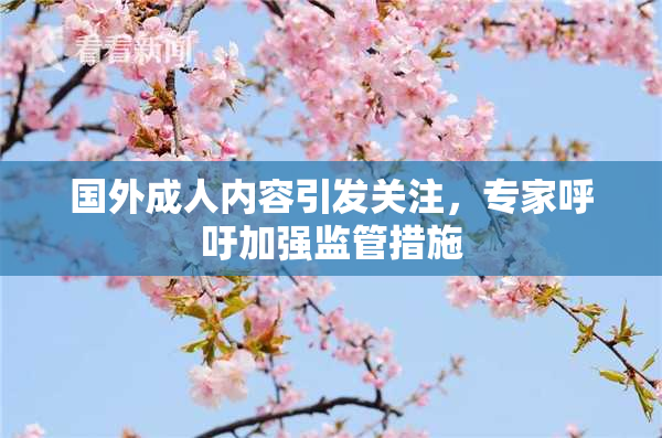 国外成人内容引发关注，专家呼吁加强监管措施