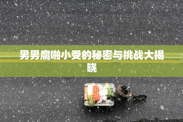 男男腐啪小受的秘密与挑战大揭晓