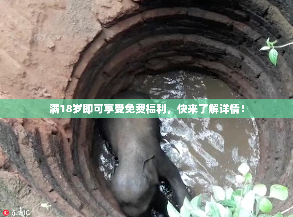 满18岁即可享受免费福利，快来了解详情！