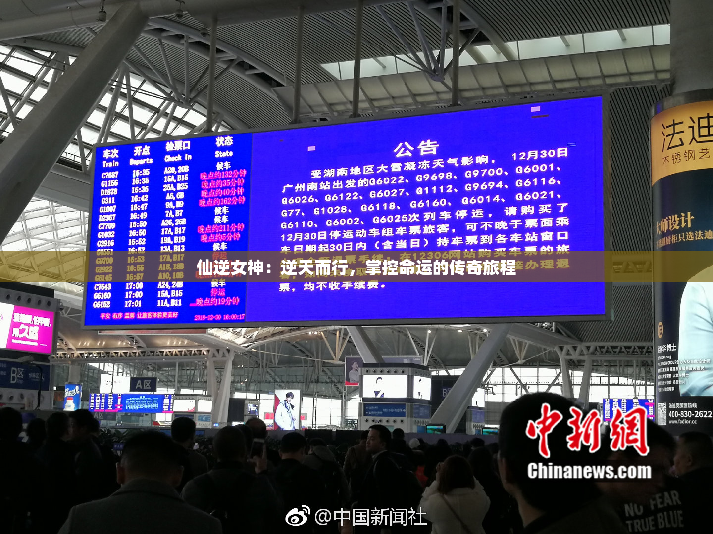 仙逆女神：逆天而行，掌控命运的传奇旅程