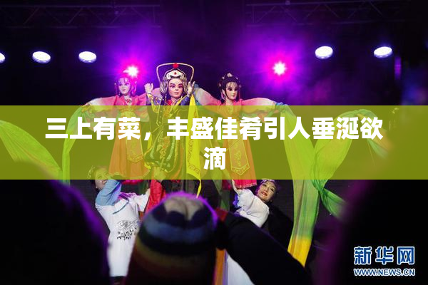 三上有菜，丰盛佳肴引人垂涎欲滴