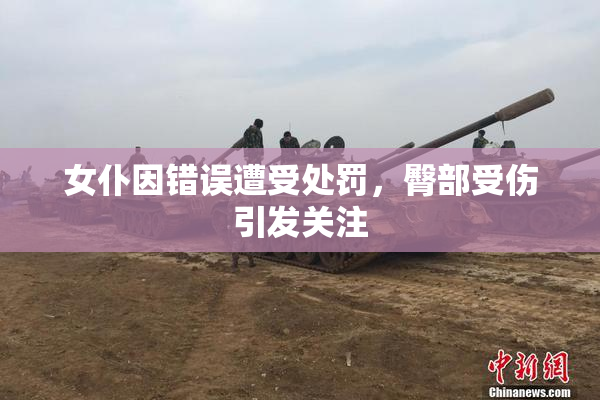 女仆因错误遭受处罚，臀部受伤引发关注
