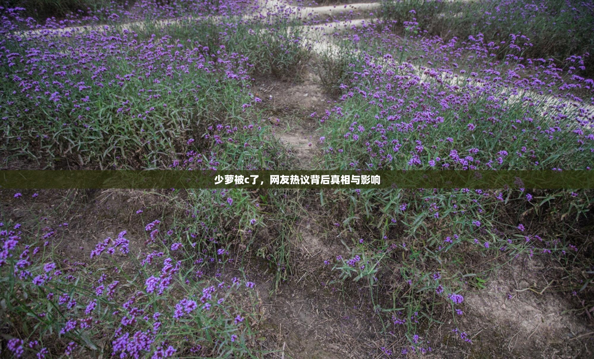 少萝被c了，网友热议背后真相与影响