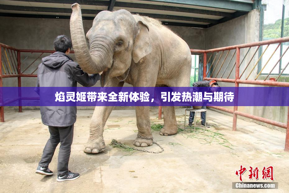 焰灵姬带来全新体验，引发热潮与期待