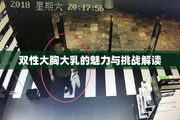 双性大胸大乳的魅力与挑战解读