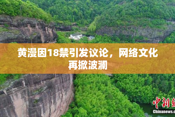黄漫因18禁引发议论，网络文化再掀波澜
