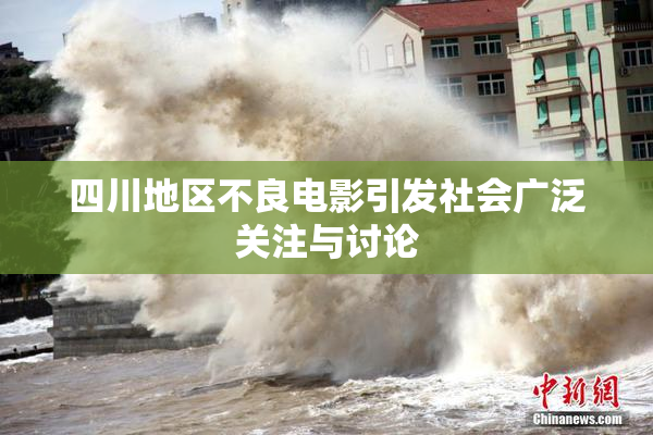 四川地区不良电影引发社会广泛关注与讨论