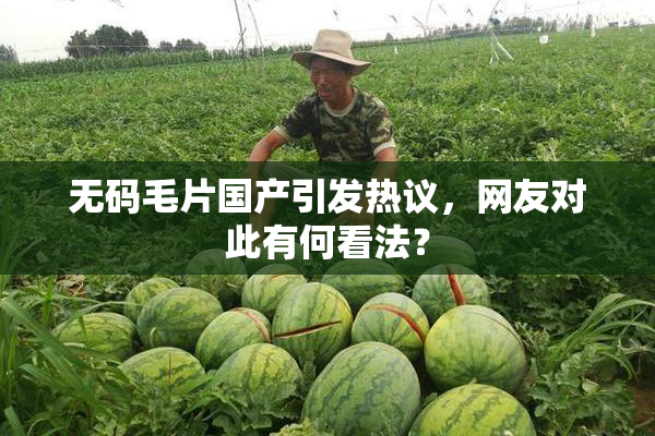 无码毛片国产引发热议，网友对此有何看法？