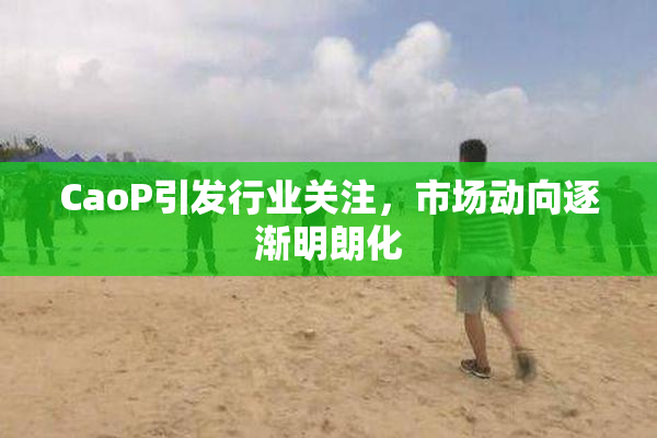 CaoP引发行业关注，市场动向逐渐明朗化