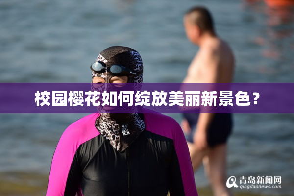 校园樱花如何绽放美丽新景色？