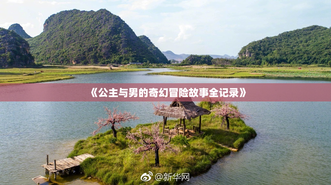 《公主与男的奇幻冒险故事全记录》