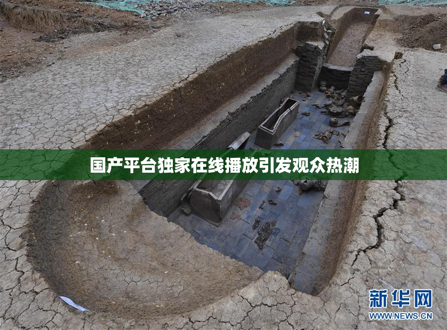 国产平台独家在线播放引发观众热潮
