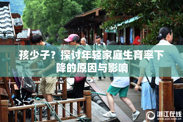 孩少子？探讨年轻家庭生育率下降的原因与影响