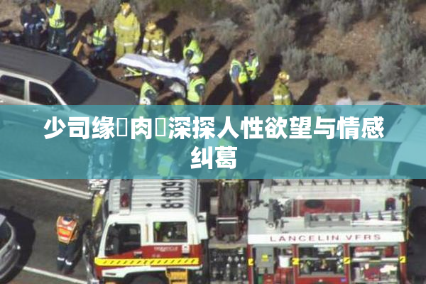 少司缘婬肉泬深探人性欲望与情感纠葛
