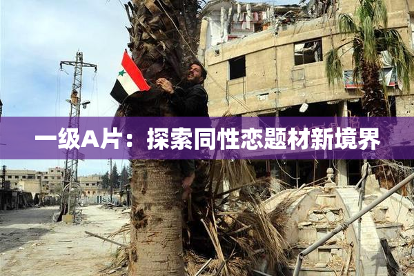 一级A片：探索同性恋题材新境界