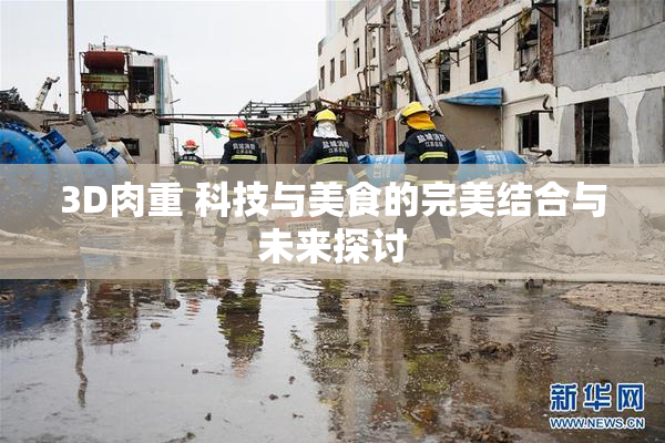 3D肉重 科技与美食的完美结合与未来探讨