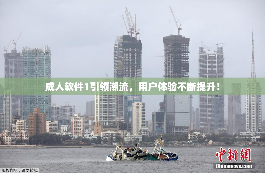 成人软件1引领潮流，用户体验不断提升！