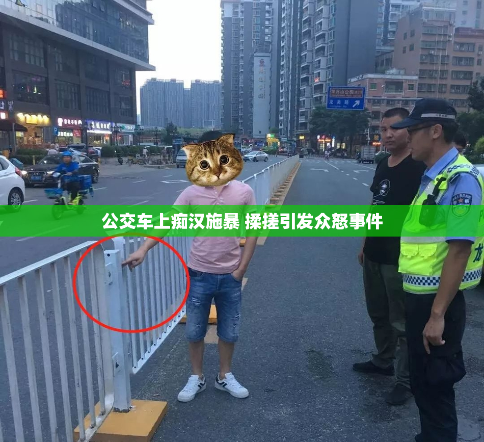 公交车上痴汉施暴 揉搓引发众怒事件