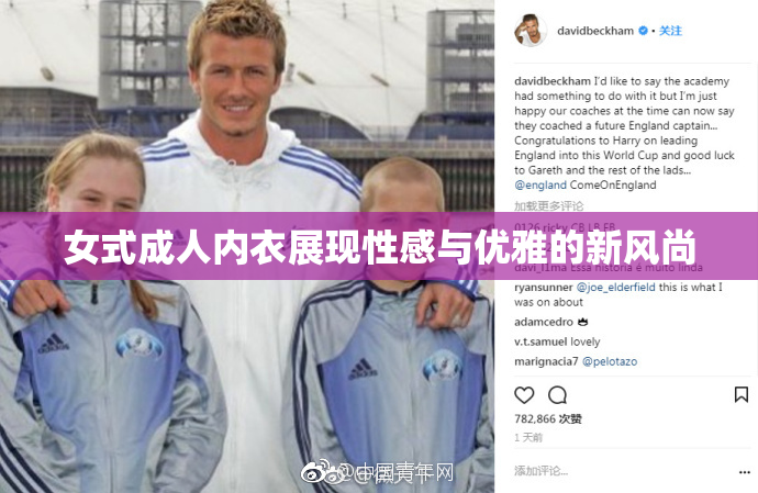 女式成人内衣展现性感与优雅的新风尚