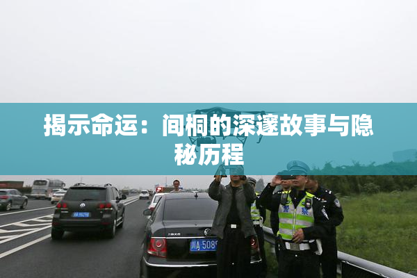 揭示命运：间桐的深邃故事与隐秘历程