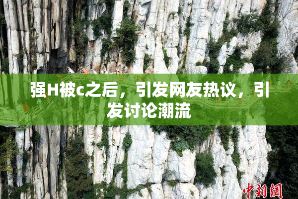 强H被c之后，引发网友热议，引发讨论潮流