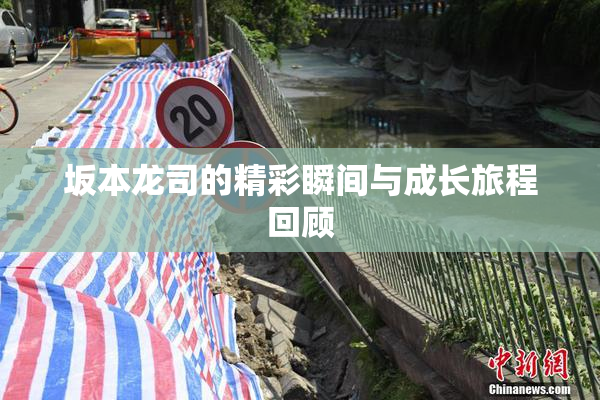 坂本龙司的精彩瞬间与成长旅程回顾