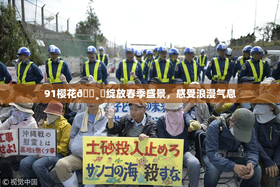 91樱花🌸‌绽放春季盛景，感受浪漫气息