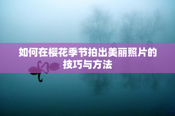 如何在樱花季节拍出美丽照片的技巧与方法