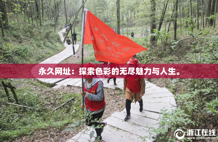 永久网址：探索色彩的无尽魅力与人生。