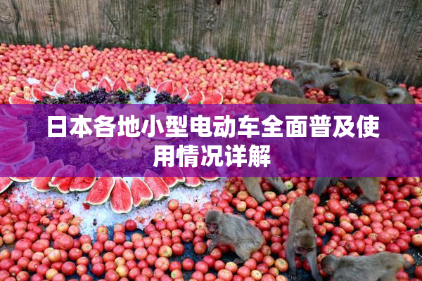 日本各地小型电动车全面普及使用情况详解