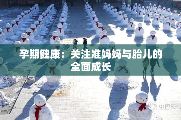 孕期健康：关注准妈妈与胎儿的全面成长