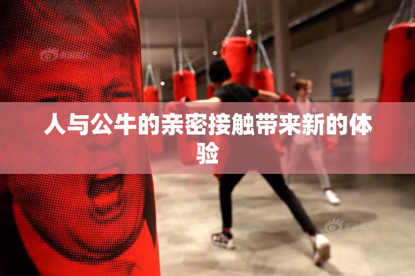 人与公牛的亲密接触带来新的体验