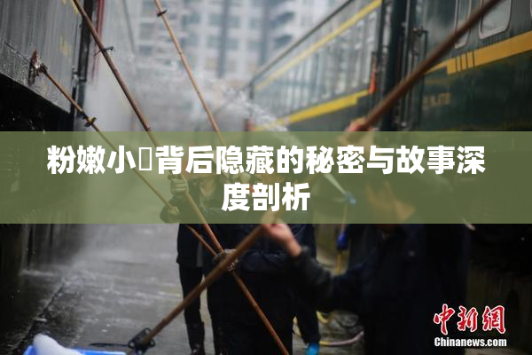 粉嫩小泬背后隐藏的秘密与故事深度剖析