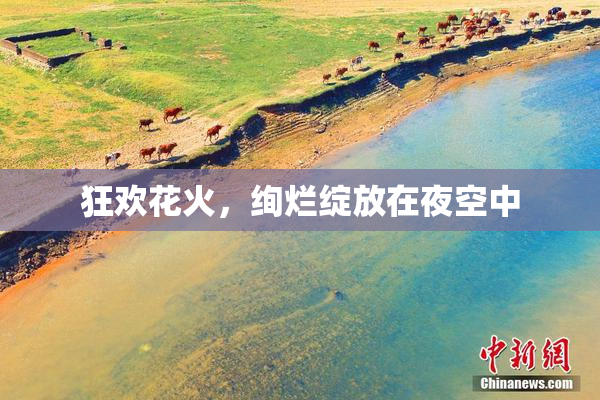 狂欢花火，绚烂绽放在夜空中