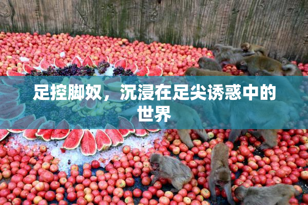 足控脚奴，沉浸在足尖诱惑中的世界