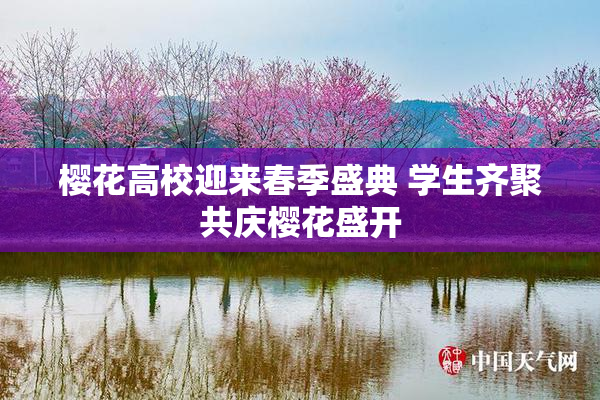 樱花高校迎来春季盛典 学生齐聚共庆樱花盛开