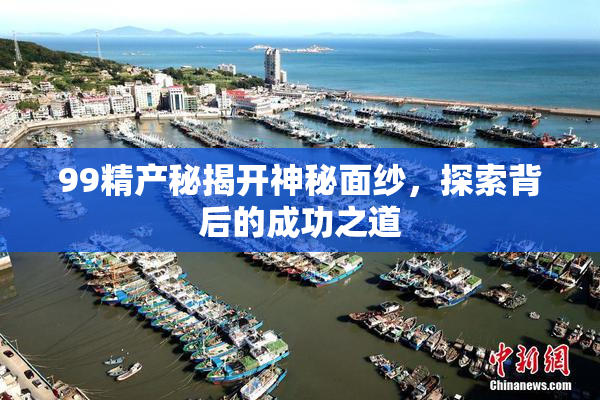 99精产秘揭开神秘面纱，探索背后的成功之道
