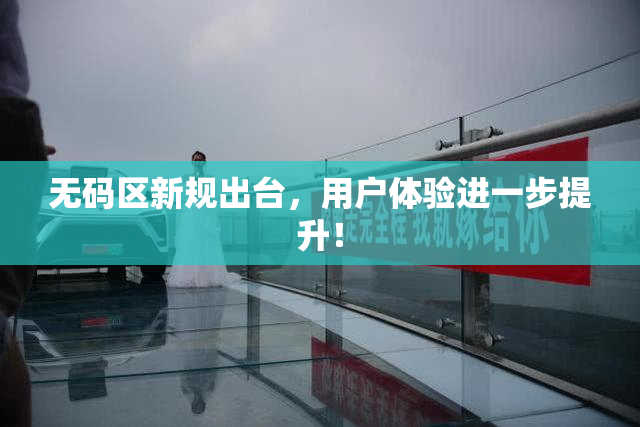 无码区新规出台，用户体验进一步提升！