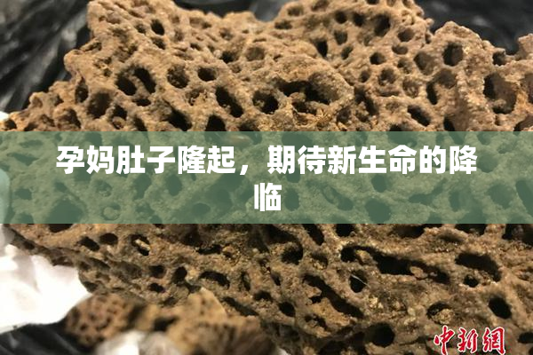 孕妈肚子隆起，期待新生命的降临