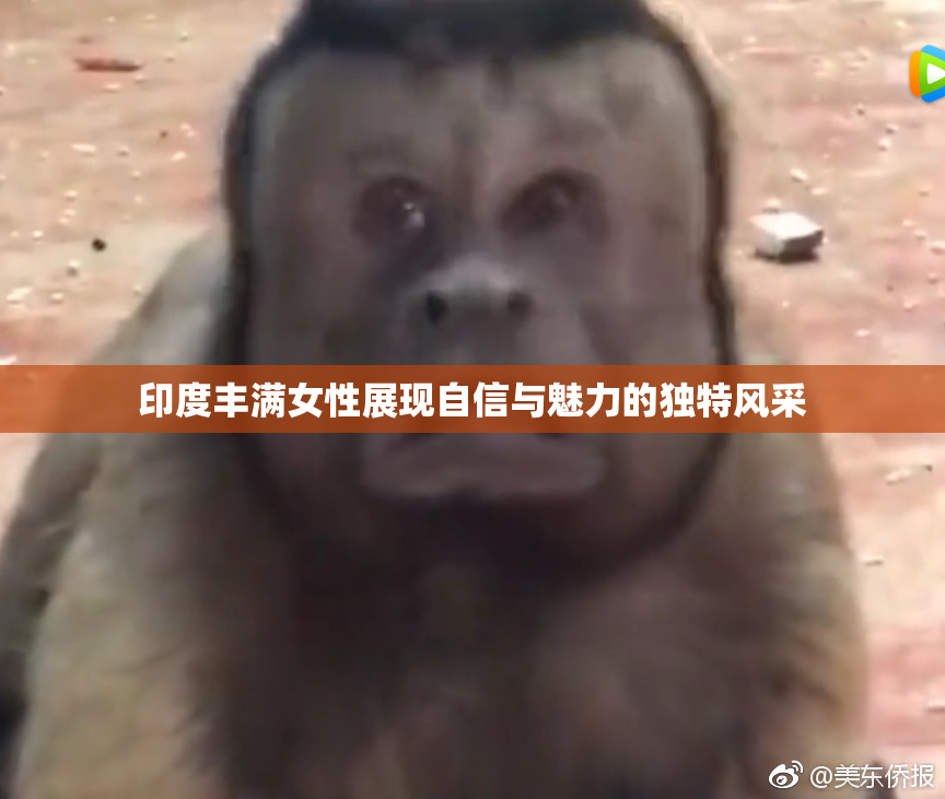 印度丰满女性展现自信与魅力的独特风采