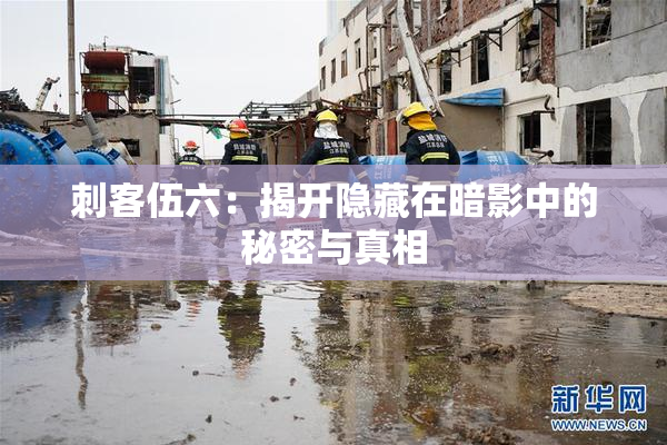 刺客伍六：揭开隐藏在暗影中的秘密与真相