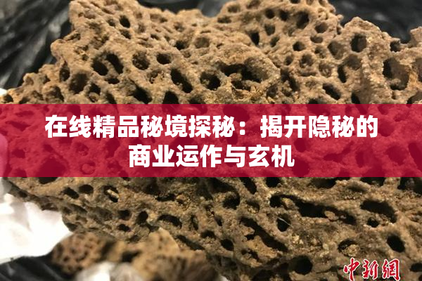 在线精品秘境探秘：揭开隐秘的商业运作与玄机