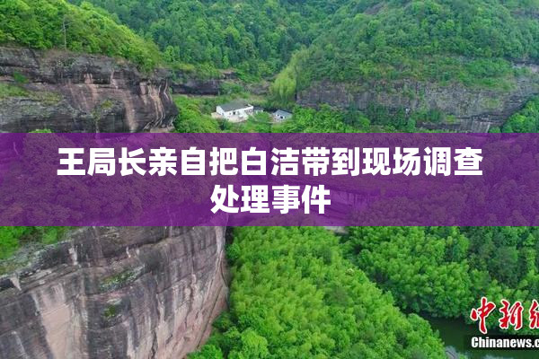 王局长亲自把白洁带到现场调查处理事件