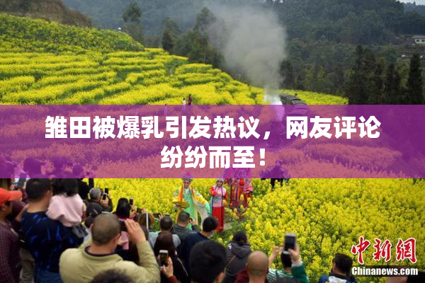 雏田被爆乳引发热议，网友评论纷纷而至！